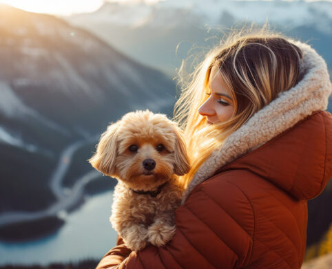fluffy dog and woman